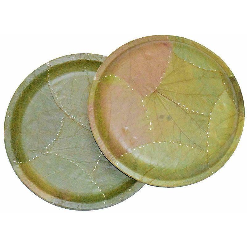 100% Natural Bio-Degradable Disposable SAL Leaf Plates For Party Events (10.25", Green) - Walgrow.com