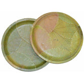 100% Natural Bio-Degradable Disposable SAL Leaf Plates For Party Events (10.25", Green) - Walgrow.com