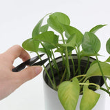 Sewing Scissors Carbon Steel Trimming Nipper Yarn Lightweight Thread Cutter Portable Mini Embroidery Clipper Stitching Snip for DIY, Household Supplies - Walgrow.com