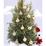 Christmas Tree Decoration Balls Hanging Ornament Party Décor Gift For Xmas 10Pcs - Walgrow.com