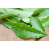 Walgrow Indian Fresh Kadi Leaf/Patta (Green) - Walgrow.com