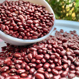 Walgrow Unpolished Red Kidney Beans/Rajma - Walgrow.com