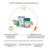 Himalaya Wellness Cold Balm Eucalyptus Rapid Action Relieves Congestion Clears Blocked Nose (1 Bottle, Balm) - Walgrow.com