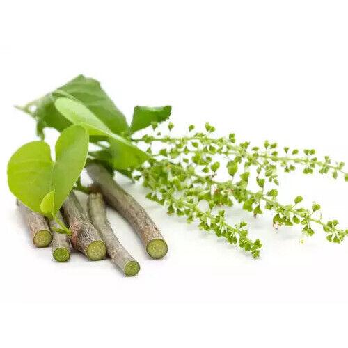 Nature Fresh Gurjo/Guduchi/Giloy/Heart-Leaved Moonseed Plant Stem/Sticks (Green) - Walgrow.com