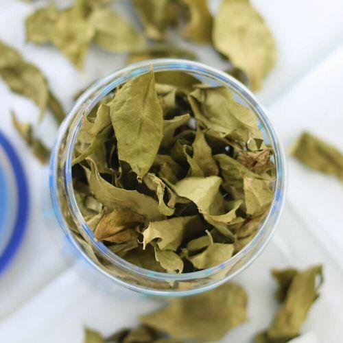 Walgrow Indian Dried Kadi Leaf/Patta (Green) - Walgrow.com